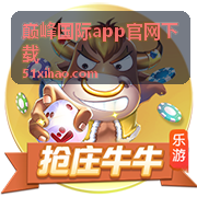 巅峰国际安全防护